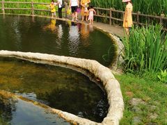 -成都市活水公园