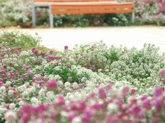 -圆明园遗址公园-藻园门售票处