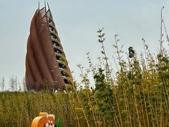 -成都大熊猫繁育研究基地