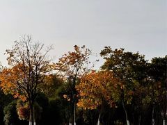 -钟山体育运动公园