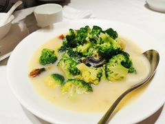 上汤西兰花-新吉士·上海菜(浦东LCM置汇旭辉店)