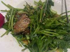 -海派美食·家宴海鲜青岛菜·石锅鲽鱼头(东方城店)