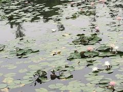 -嘉北郊野公园