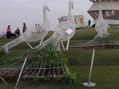 -光明小镇欢乐田园