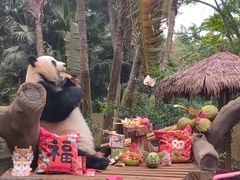 -海南热带野生动植物园