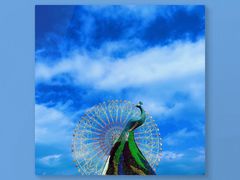 -七彩云南欢乐世界