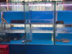 -一品江南韵·淮扬菜