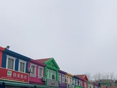 -上海龙吴水胜海发市场