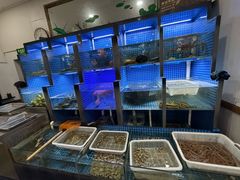 -金龙·打边炉(武进路店)