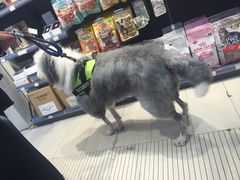 -PETKIT 小佩宠物·低压洗护·美容·寄养(安远店)