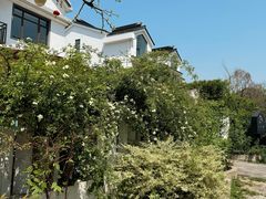 -树山生态村