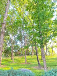 -大望京儿童游乐场