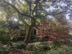 -浙江西子宾馆·瑶园咖啡厅