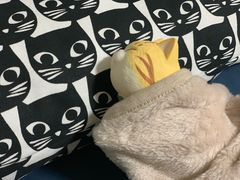 -BHG生活超市(安贞店)