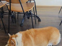 -肥朵食堂(带梦胡同店)