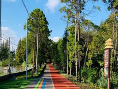 -上海长兴岛郊野公园