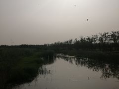 -春花秋色城市公园