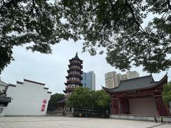 -绳金塔
