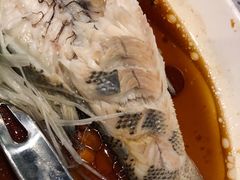 过水鲈鱼-胡桃里乐队酒馆(鎏嘉码头店)