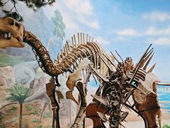 -延庆地质公园博物馆