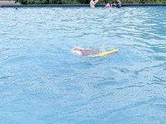 -宁波九龙湖开元度假村
