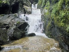 -牛背梁国家森林公园