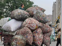 -西北大学(桃园校区)