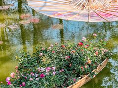 -人民公园(罗湖区)