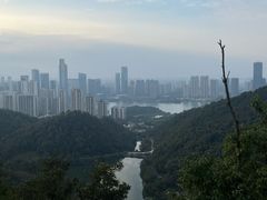 -桃花岭景区