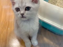 -龟与熊猫宠物公园(南坪店)