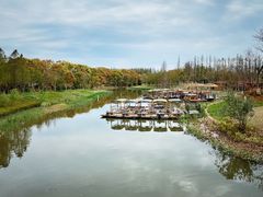 -上海长兴岛郊野公园