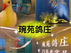 -琬苑鸽庄·川粤融合菜(解放碑总店)