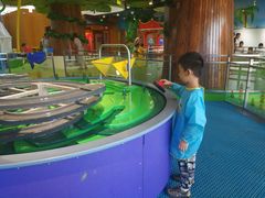 -中国宋庆龄青少年科技文化交流中心