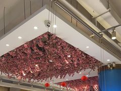 -小桃红·东北菜·春饼烤鸭(南阳湖街店)