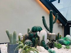 -大树餐厅(红旗街万达店)