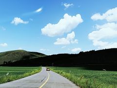 -草原天路(张北县)