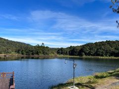 -海南热带雨林国家公园吊罗山景区