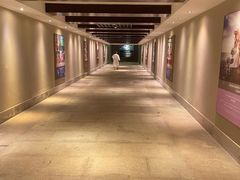 -三亚湾海居铂尔曼度假酒店