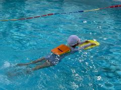 -小海豚国际游泳培训中心(浦东源深体育中心店)