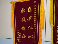 -中农国际动物医院24小时·猫科·骨科·急重症中心