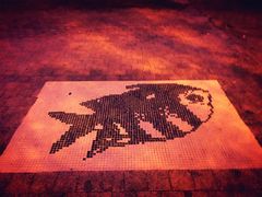 -日照世帆赛基地