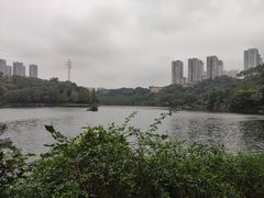 -重庆彩云湖湿地公园