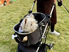 -上海神旺大酒店