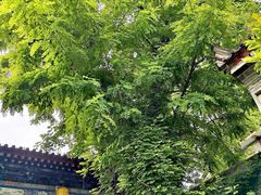 -湘子庙