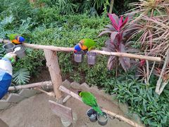 -南宫五洲植物乐园