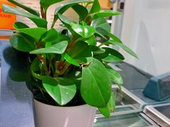 -招商银行(北京富力城支行)