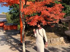 -常寂光寺