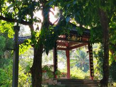 -四海公园(南山区)