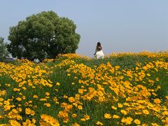 -良渚古城遗址公园