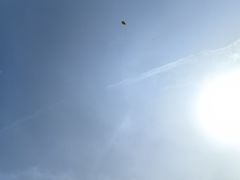 -汉长安城未央宫国家考古遗址公园